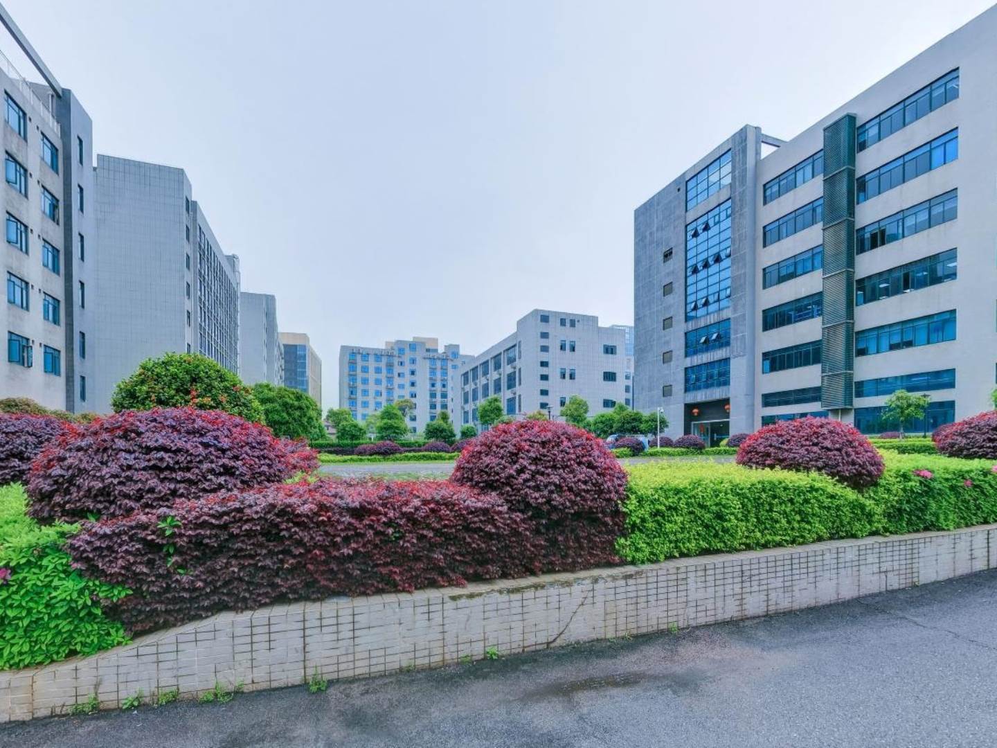 实景图