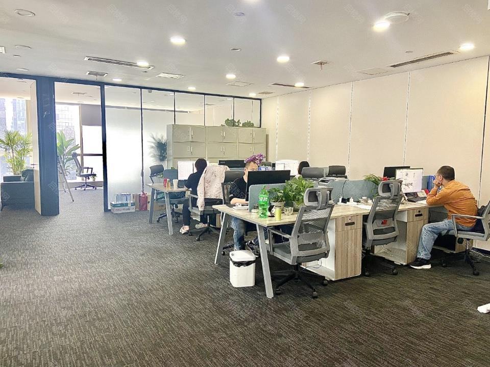 实拍图