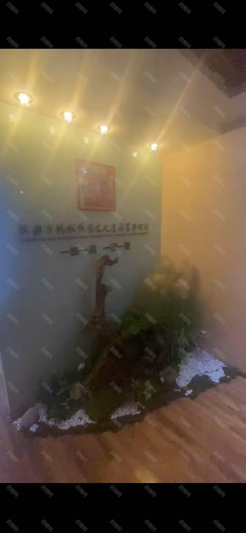 实拍图