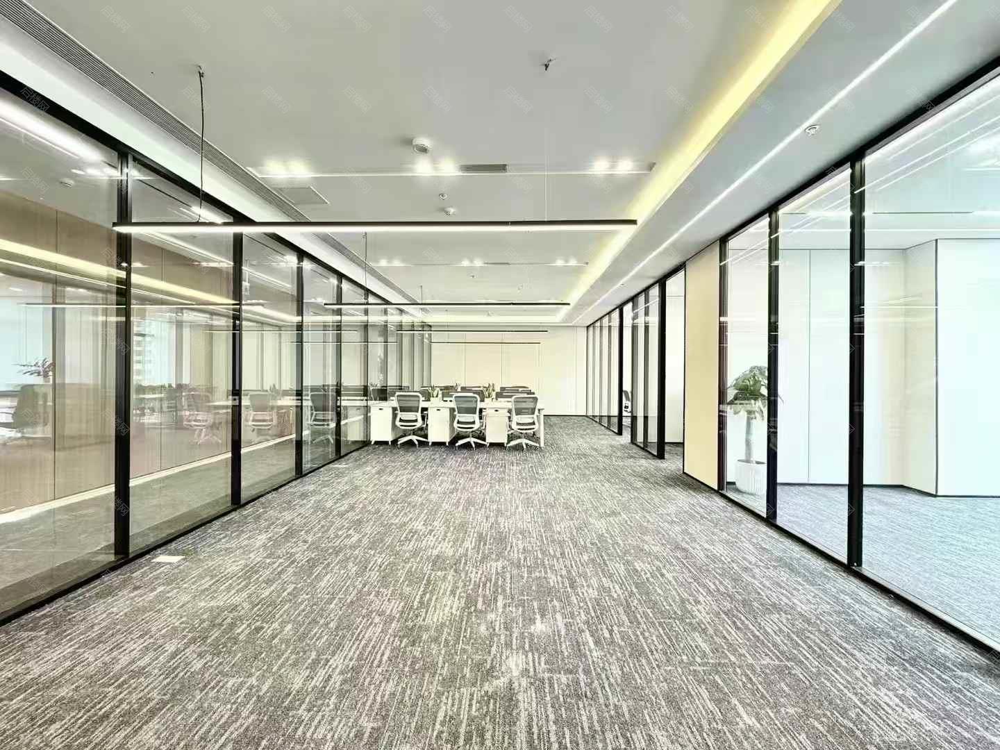 实拍图