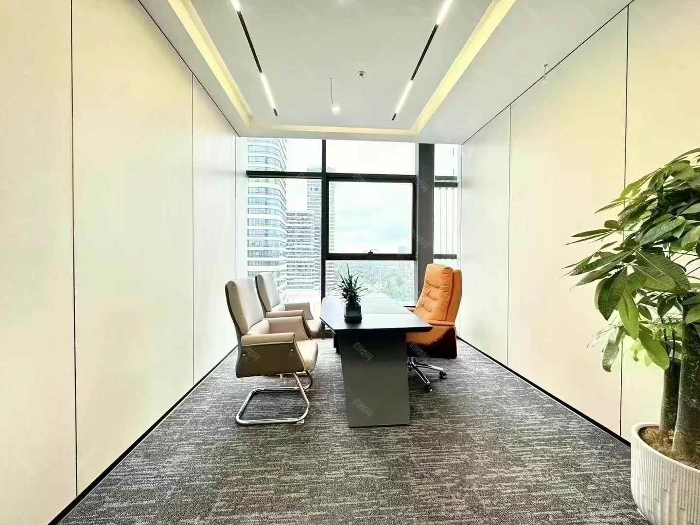 实拍图