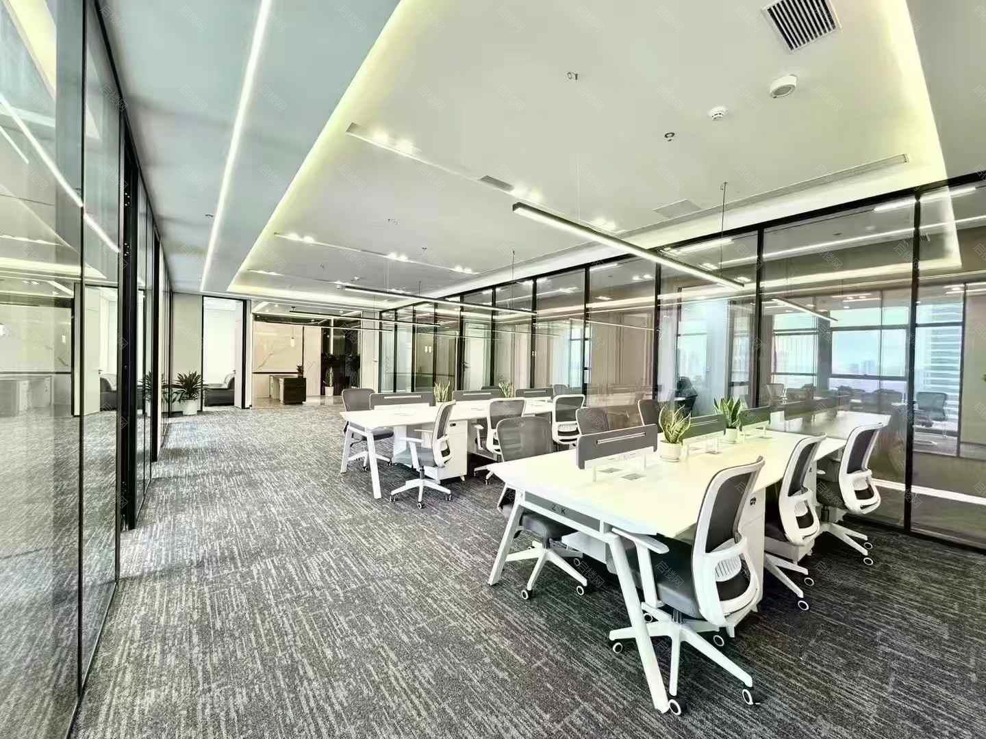 实拍图