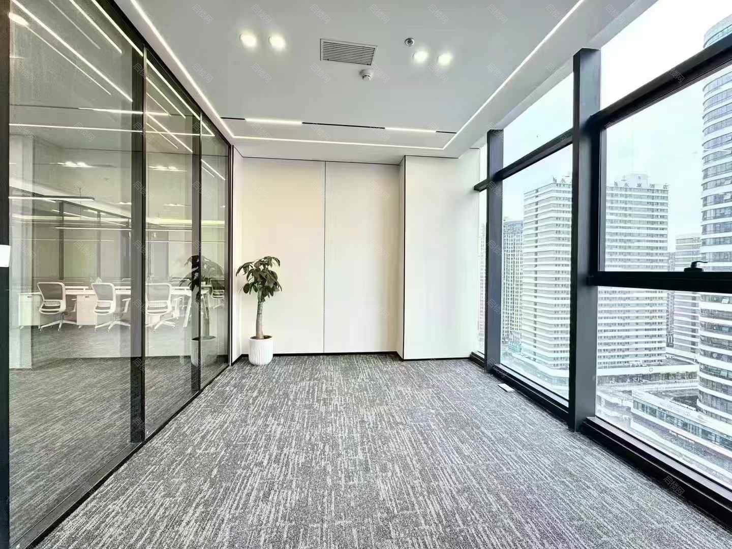 实拍图