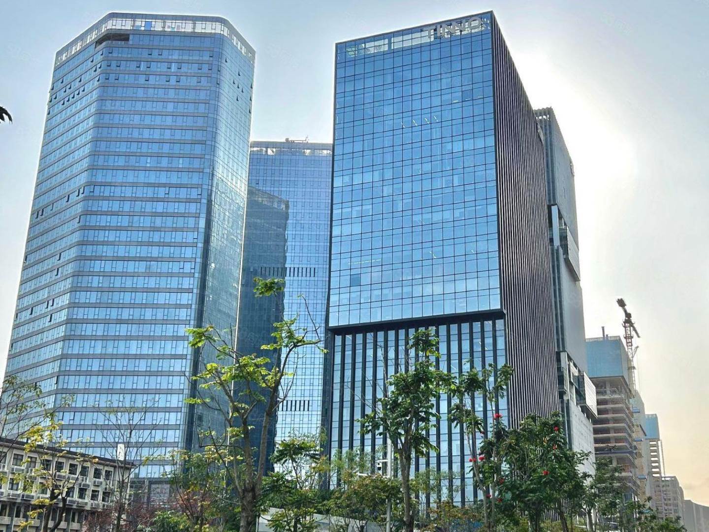 实景图