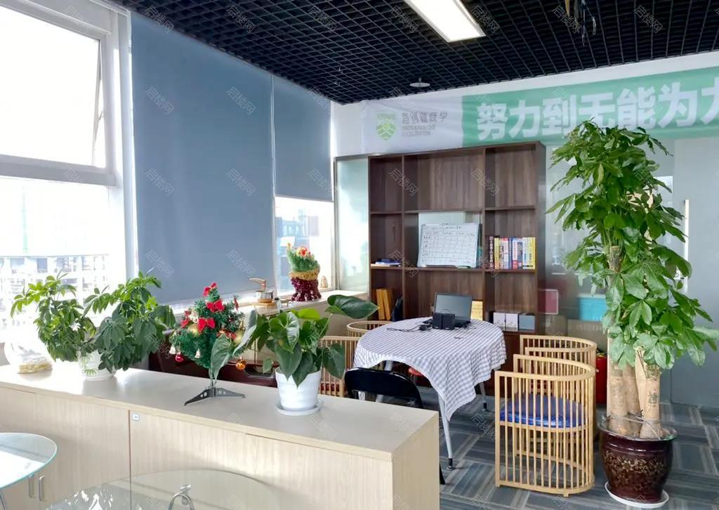 实拍图