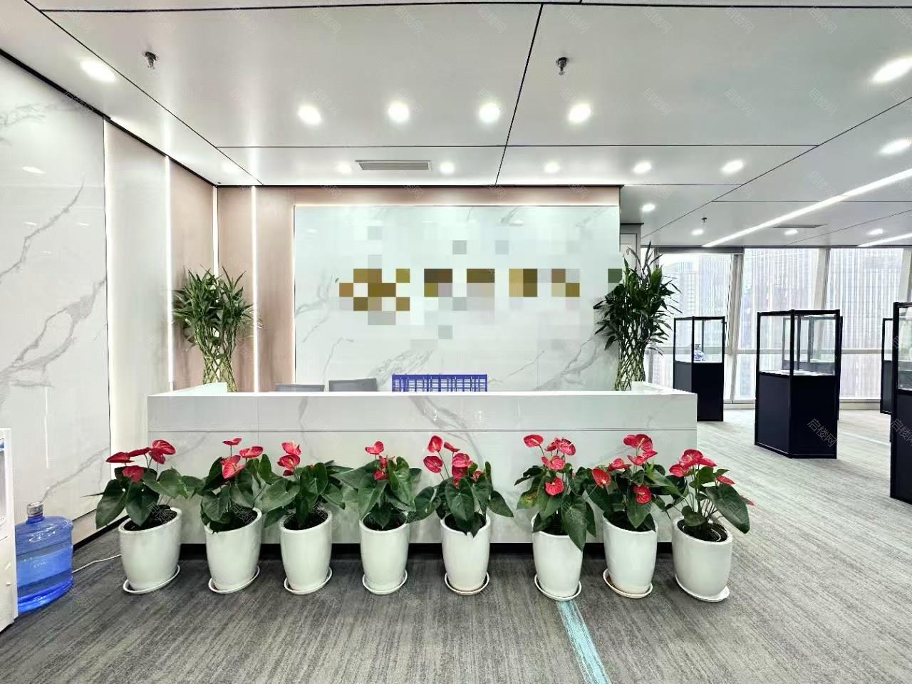 实拍图