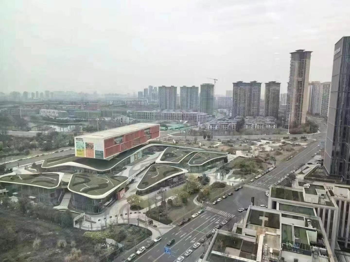 实拍图