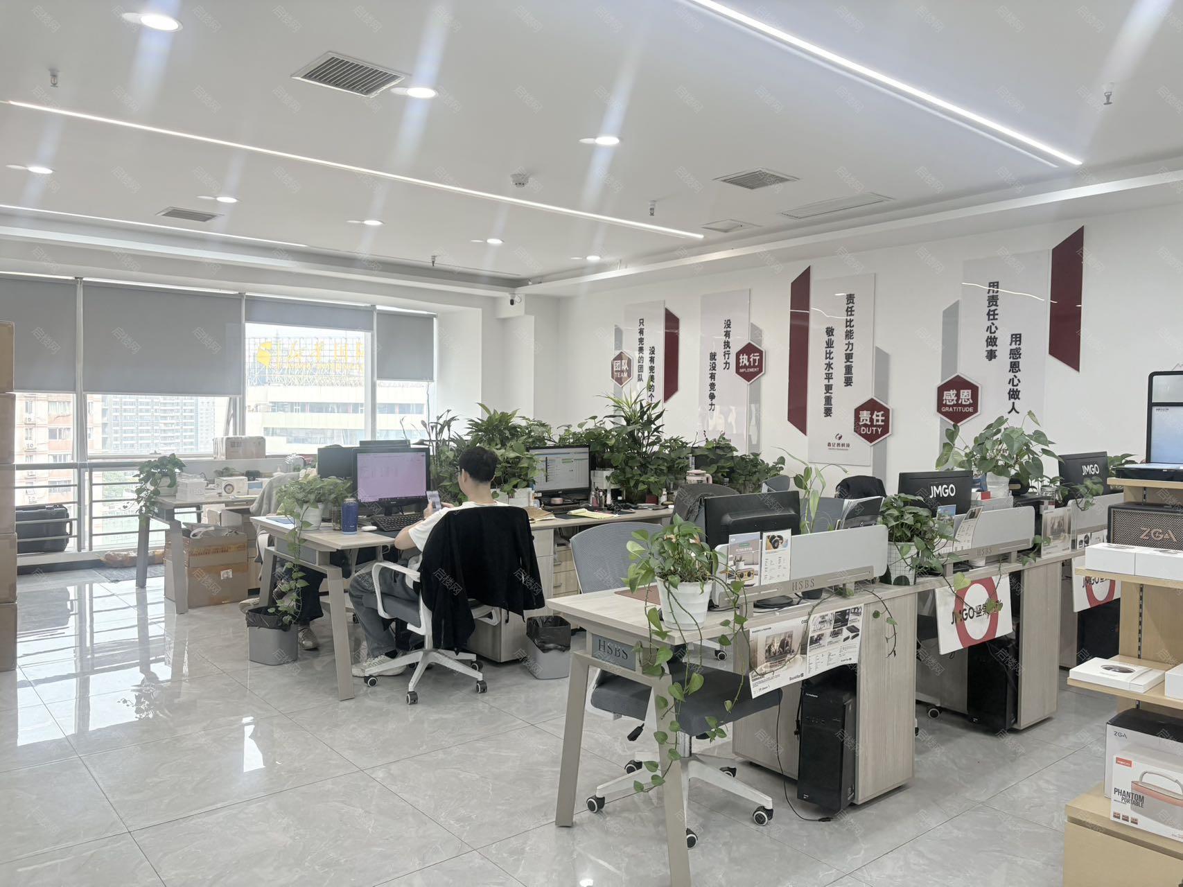 实拍图