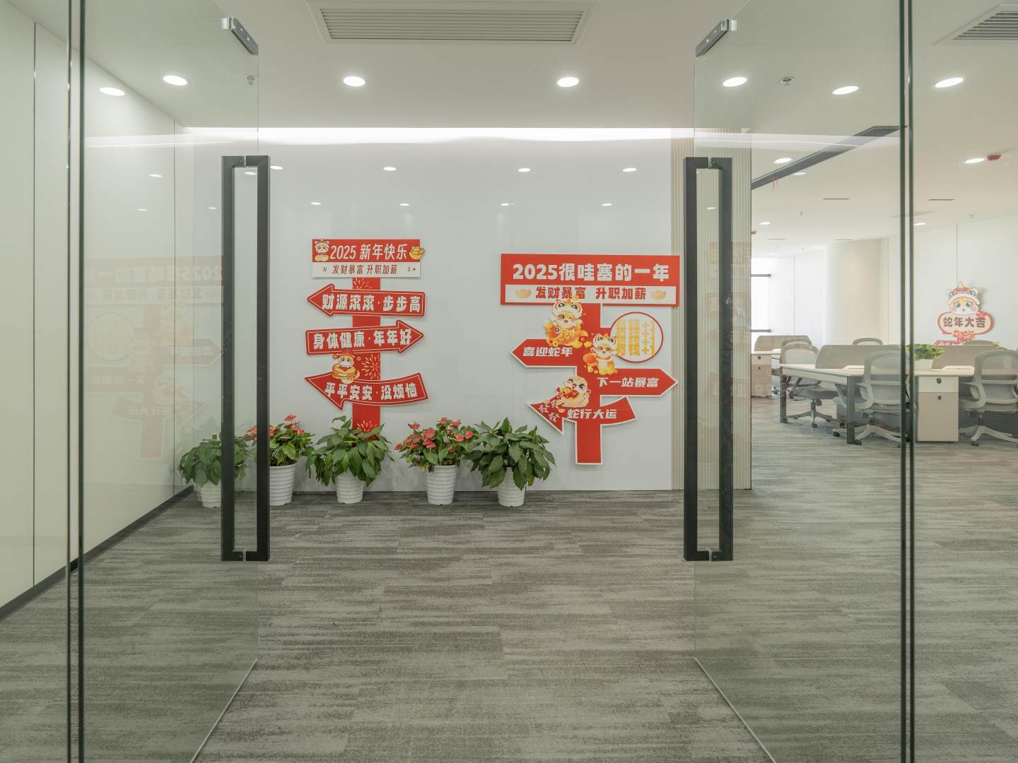 实拍图