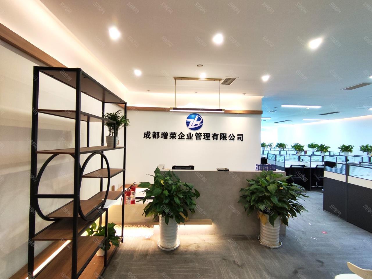 实拍图