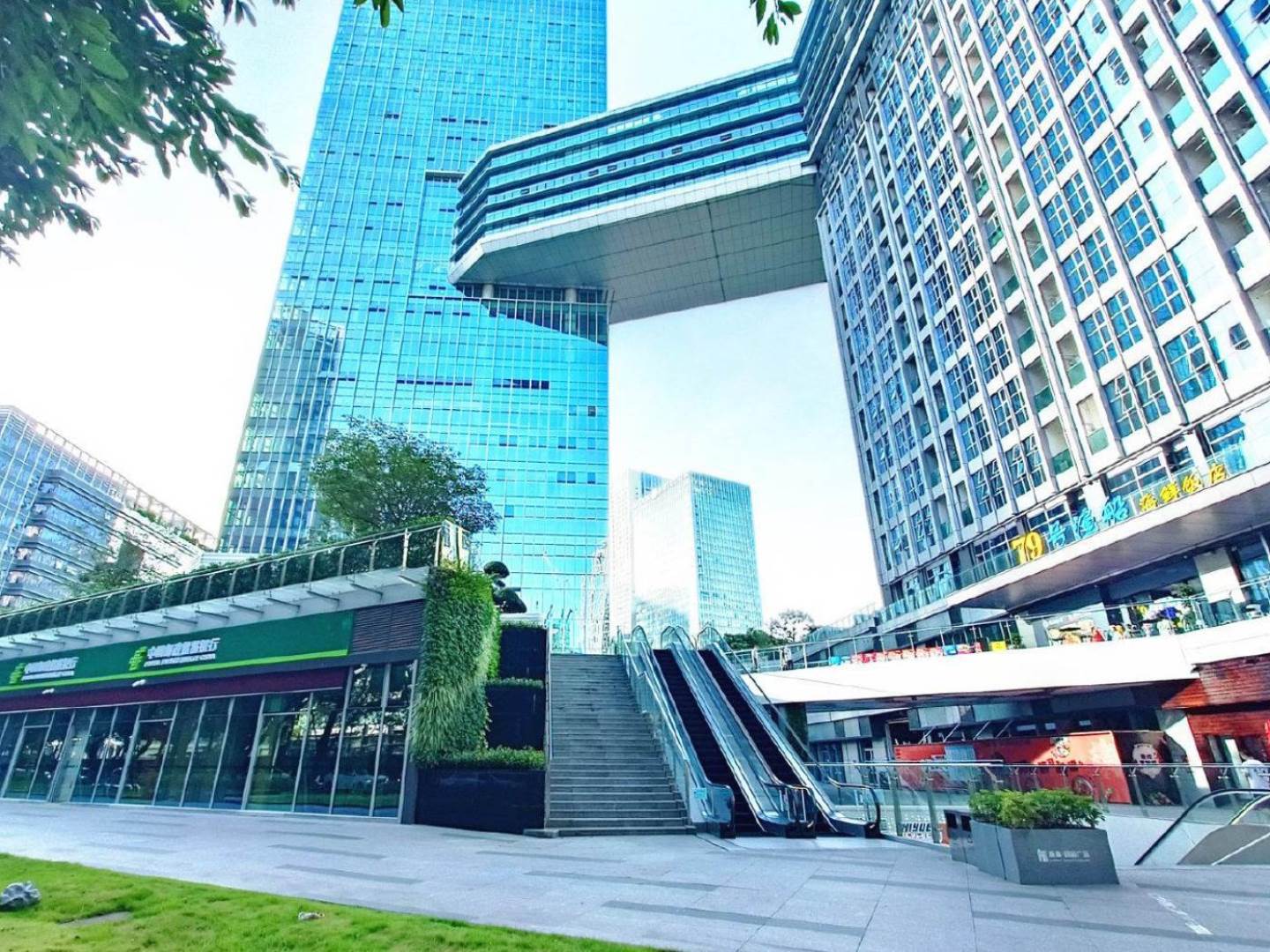 实景图