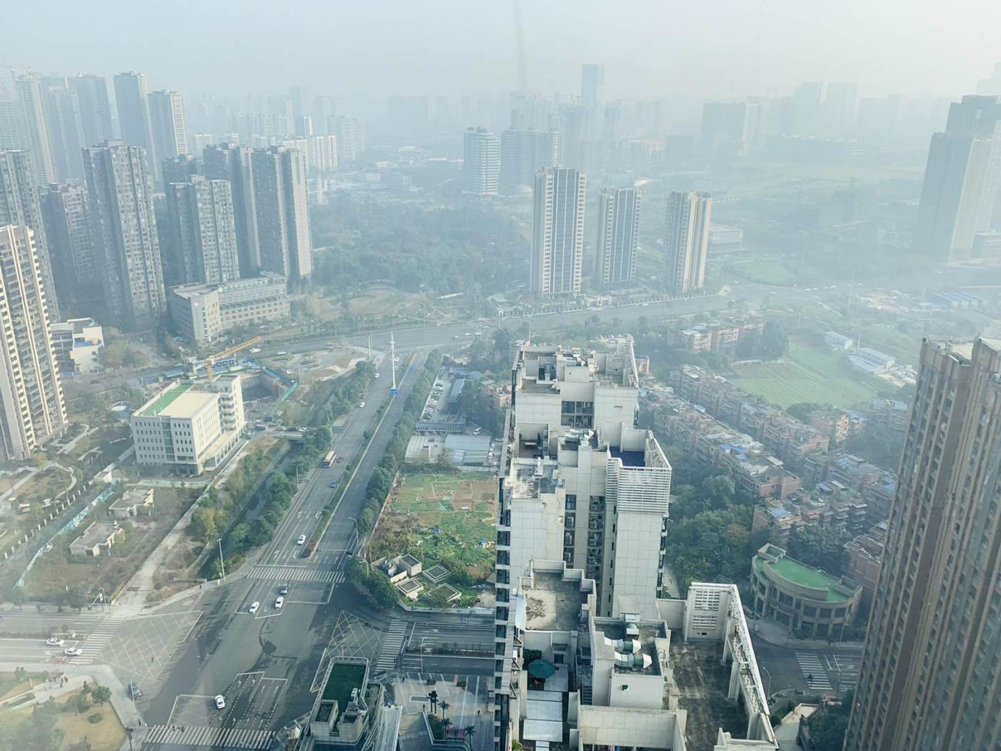 实拍图