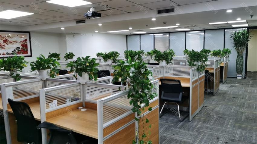 通州富力中心出租房图片