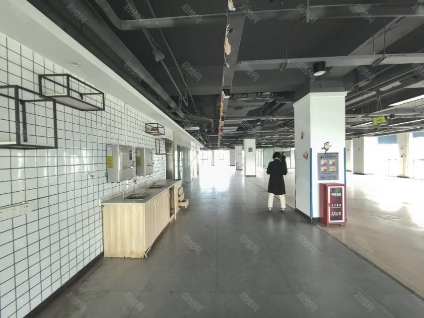 实拍图