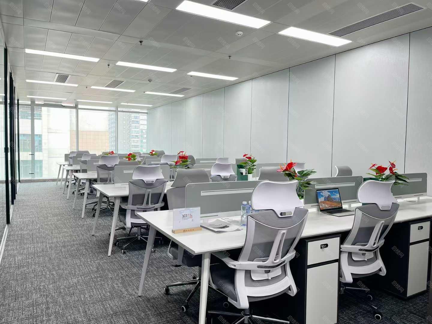 实拍图