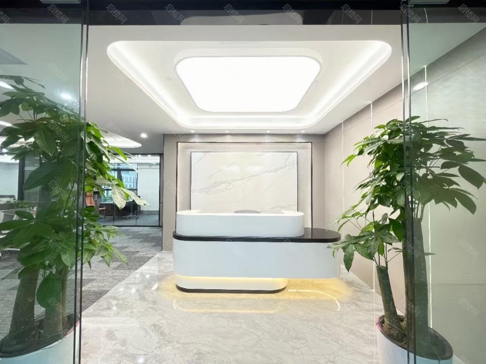 实拍图