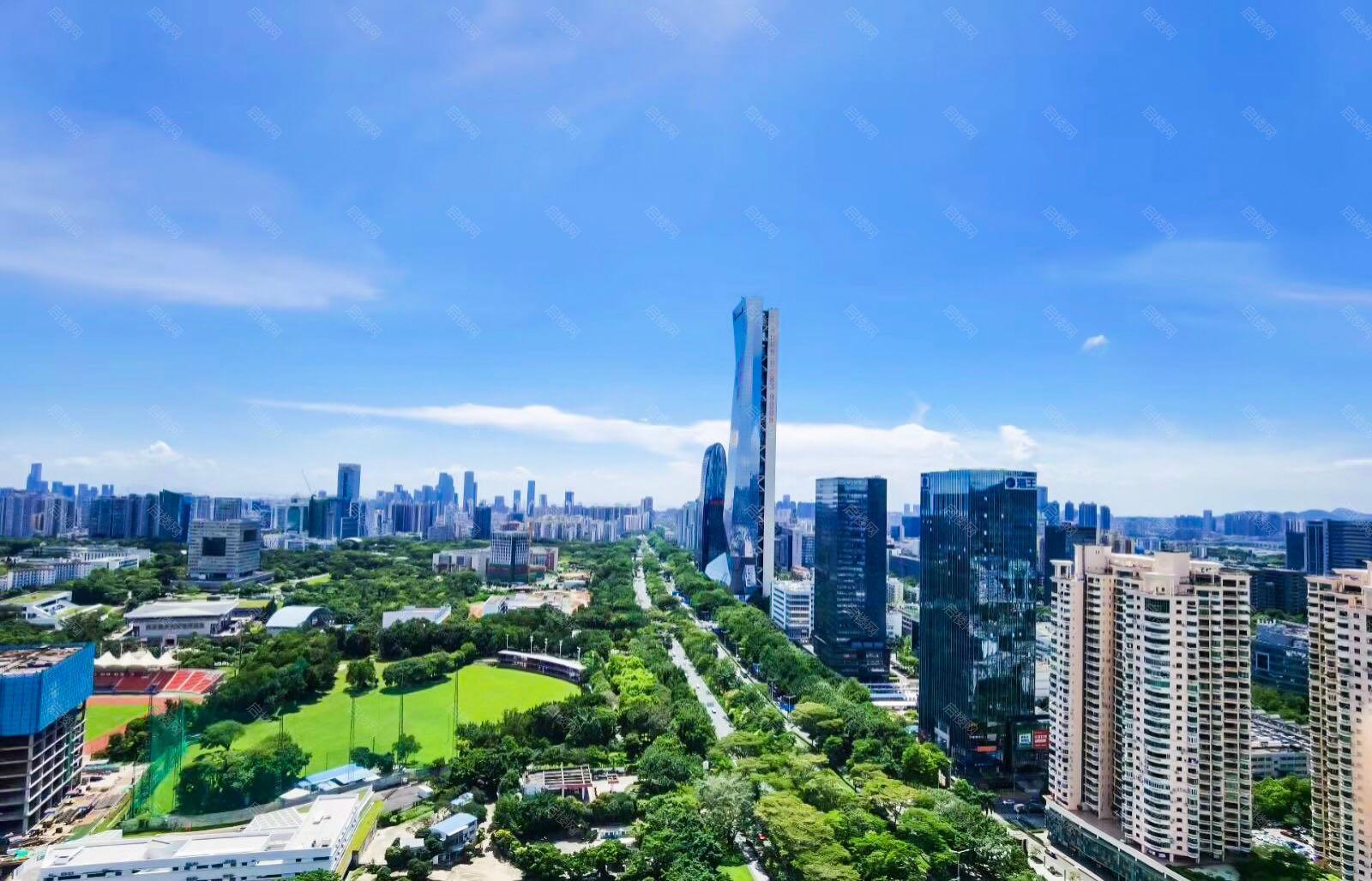 实拍图