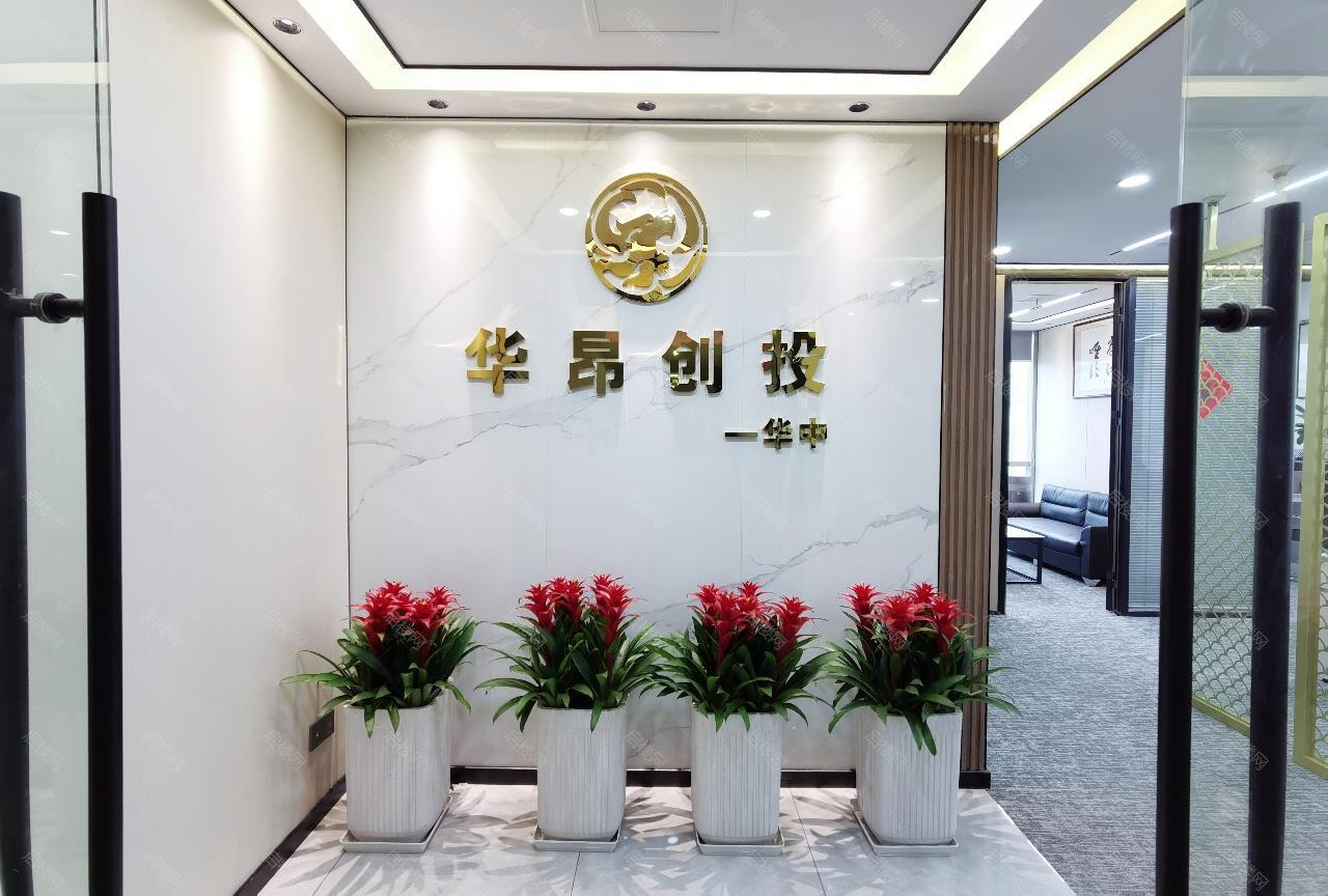 实拍图