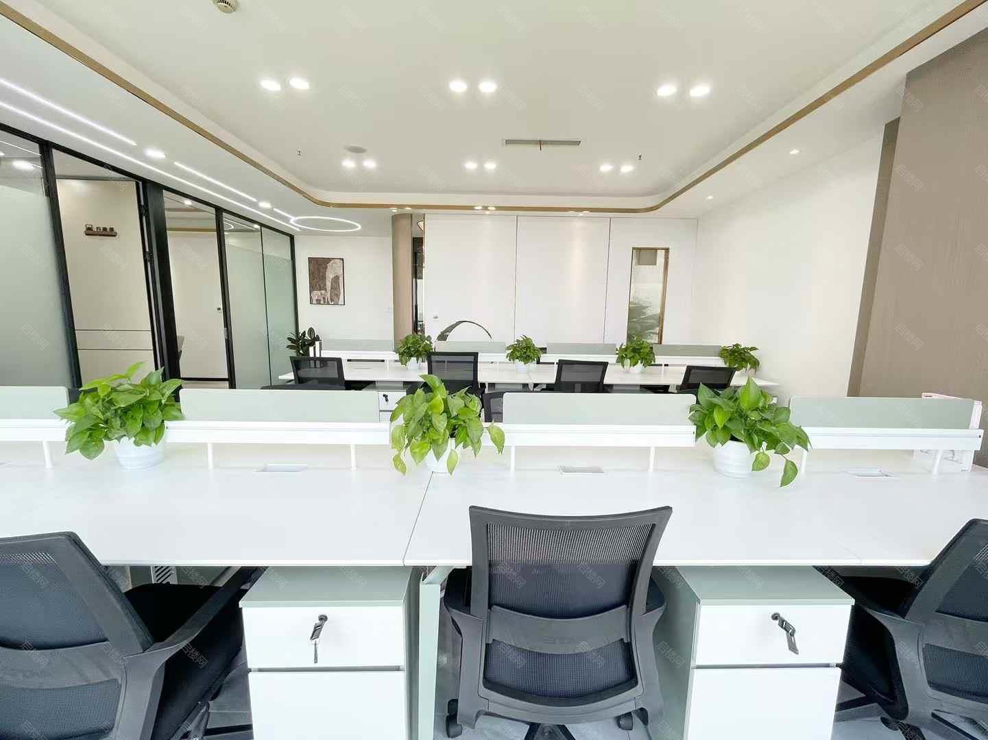 实拍图