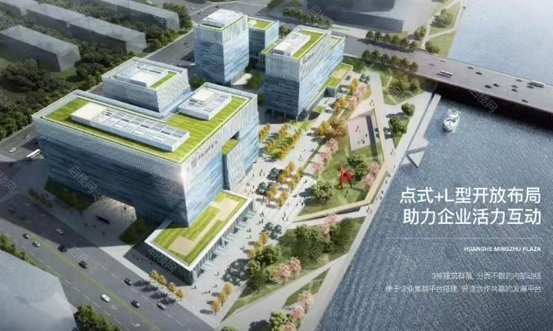 实拍图