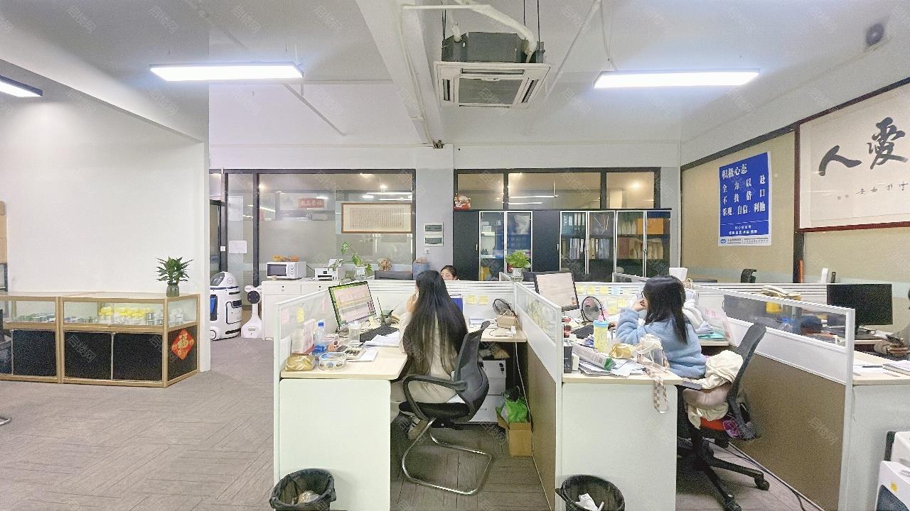 实拍图