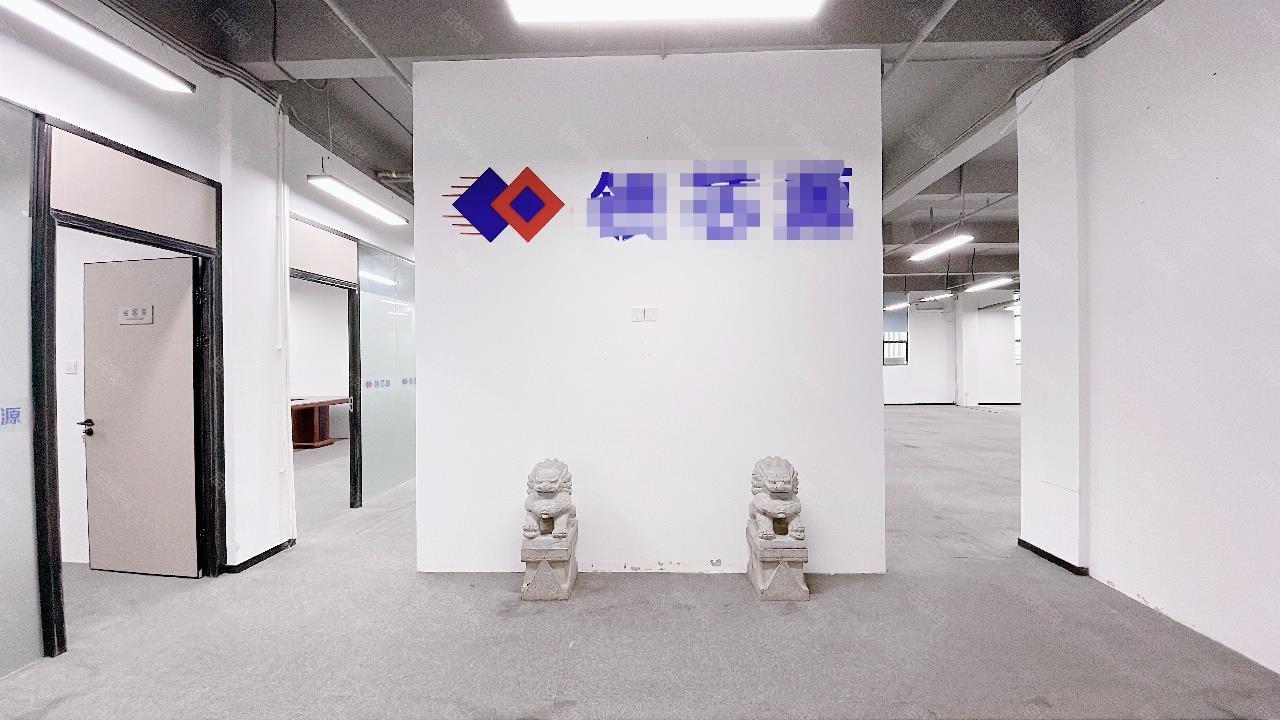 实拍图