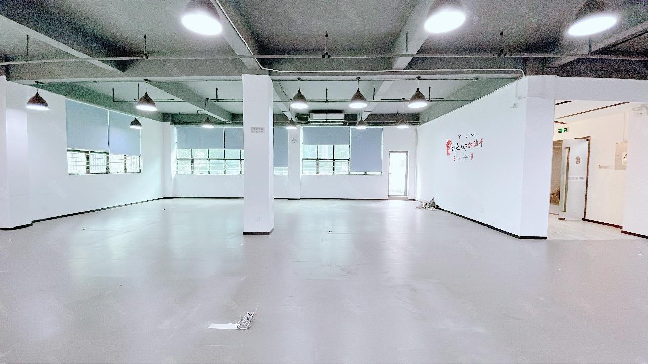 实拍图