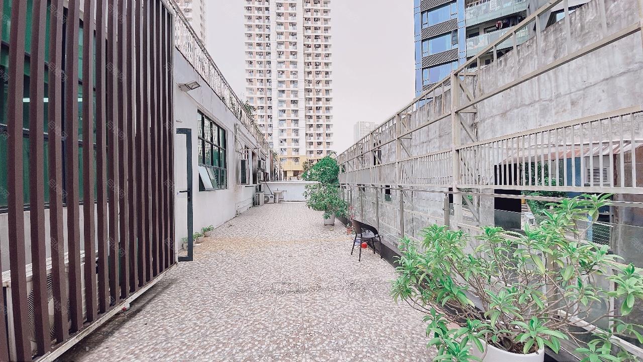 实拍图