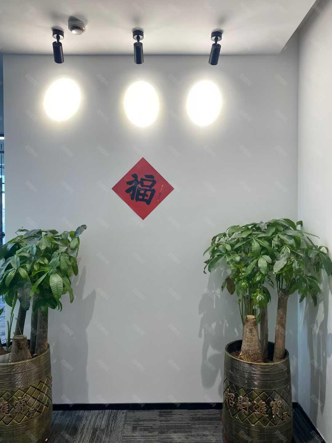 实拍图