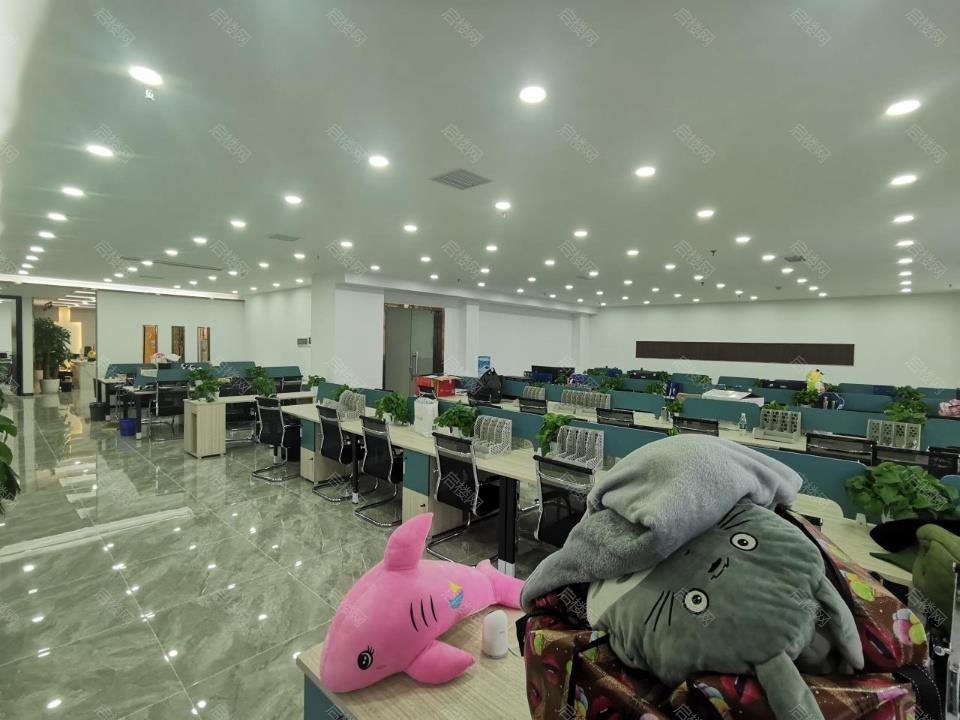 实拍图