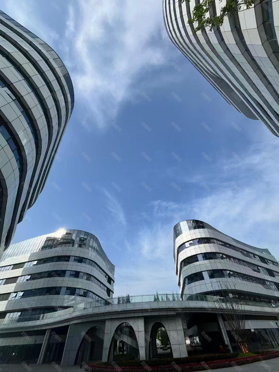 实拍图