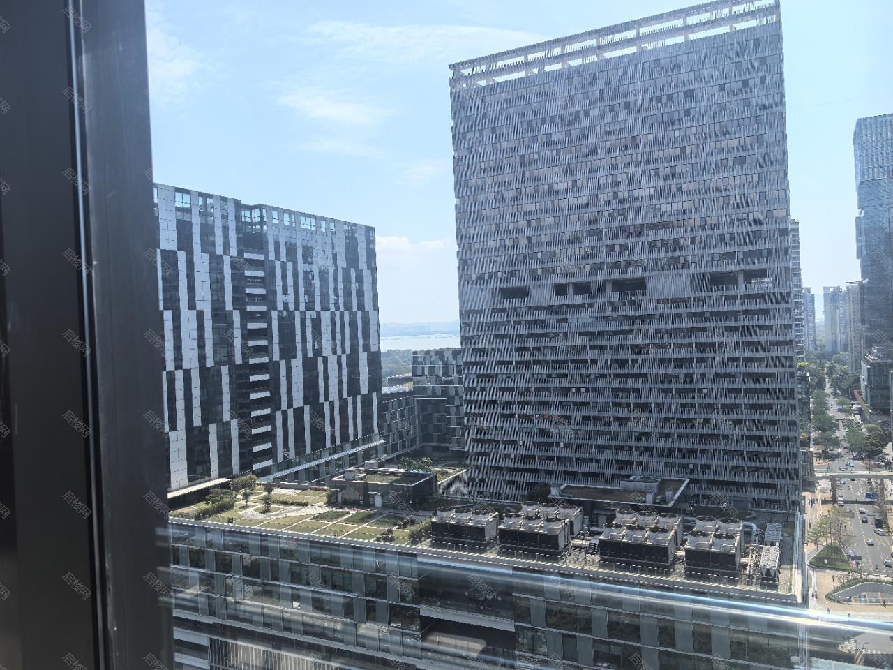 实拍图