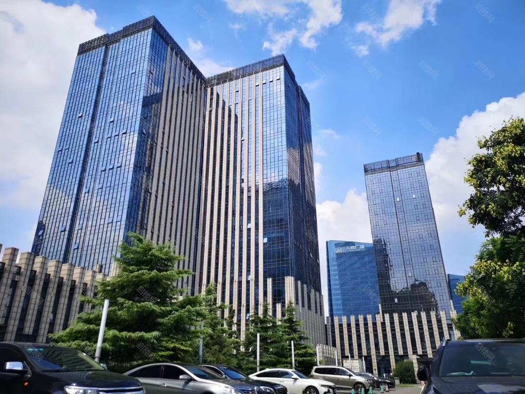 实拍图