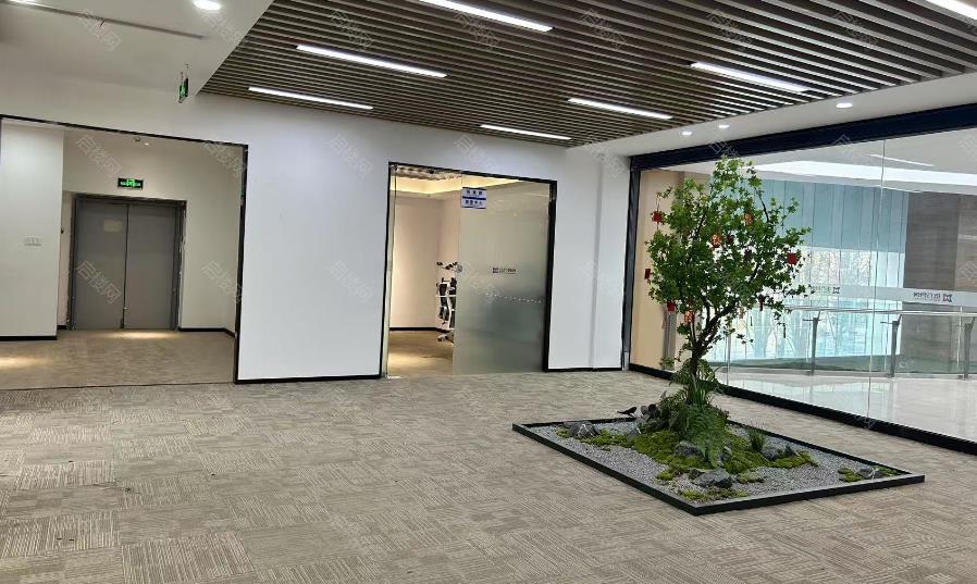 实拍图