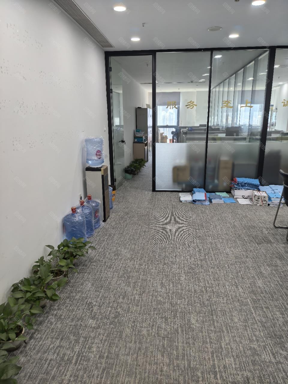 实拍图