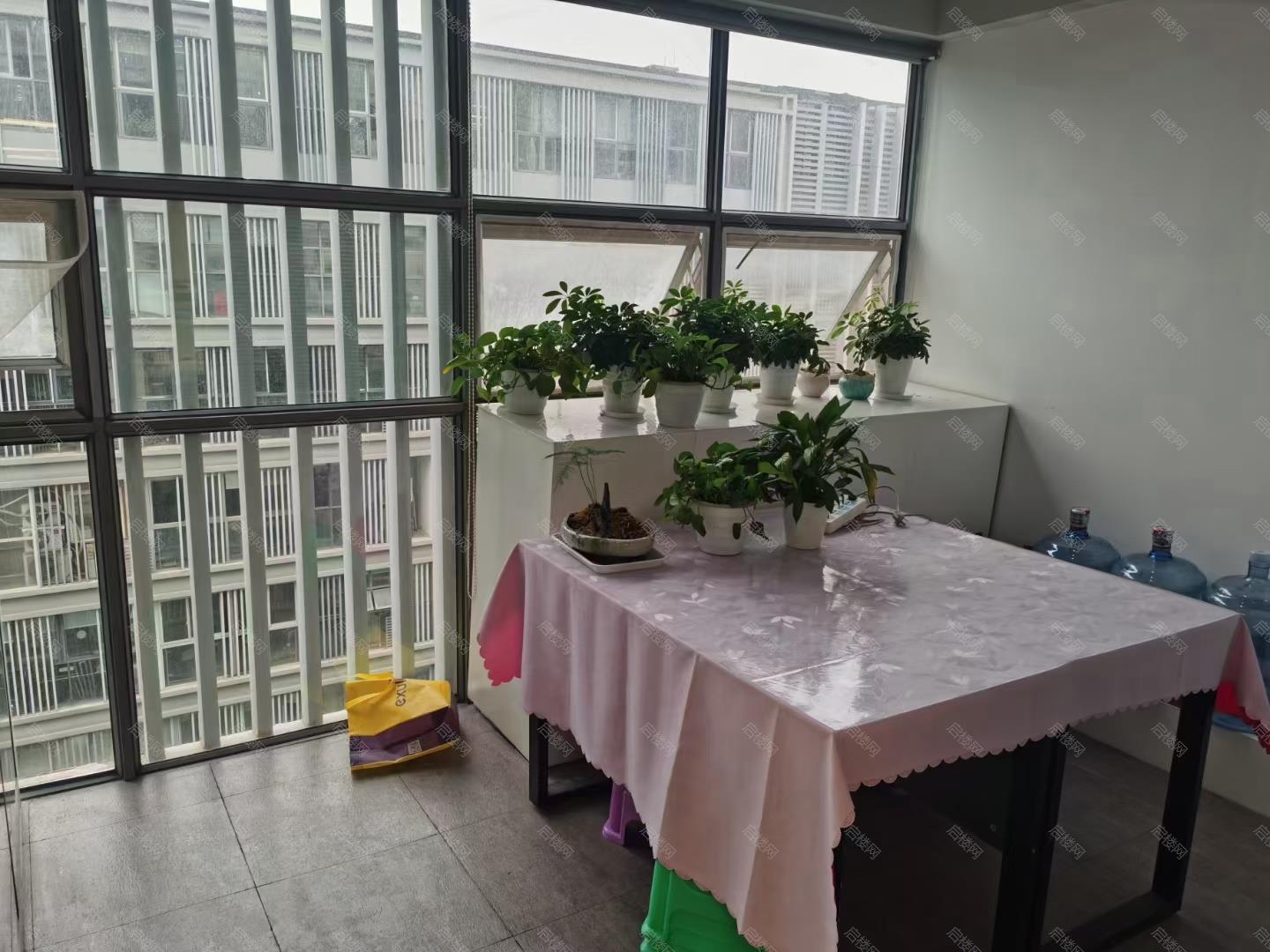 实拍图