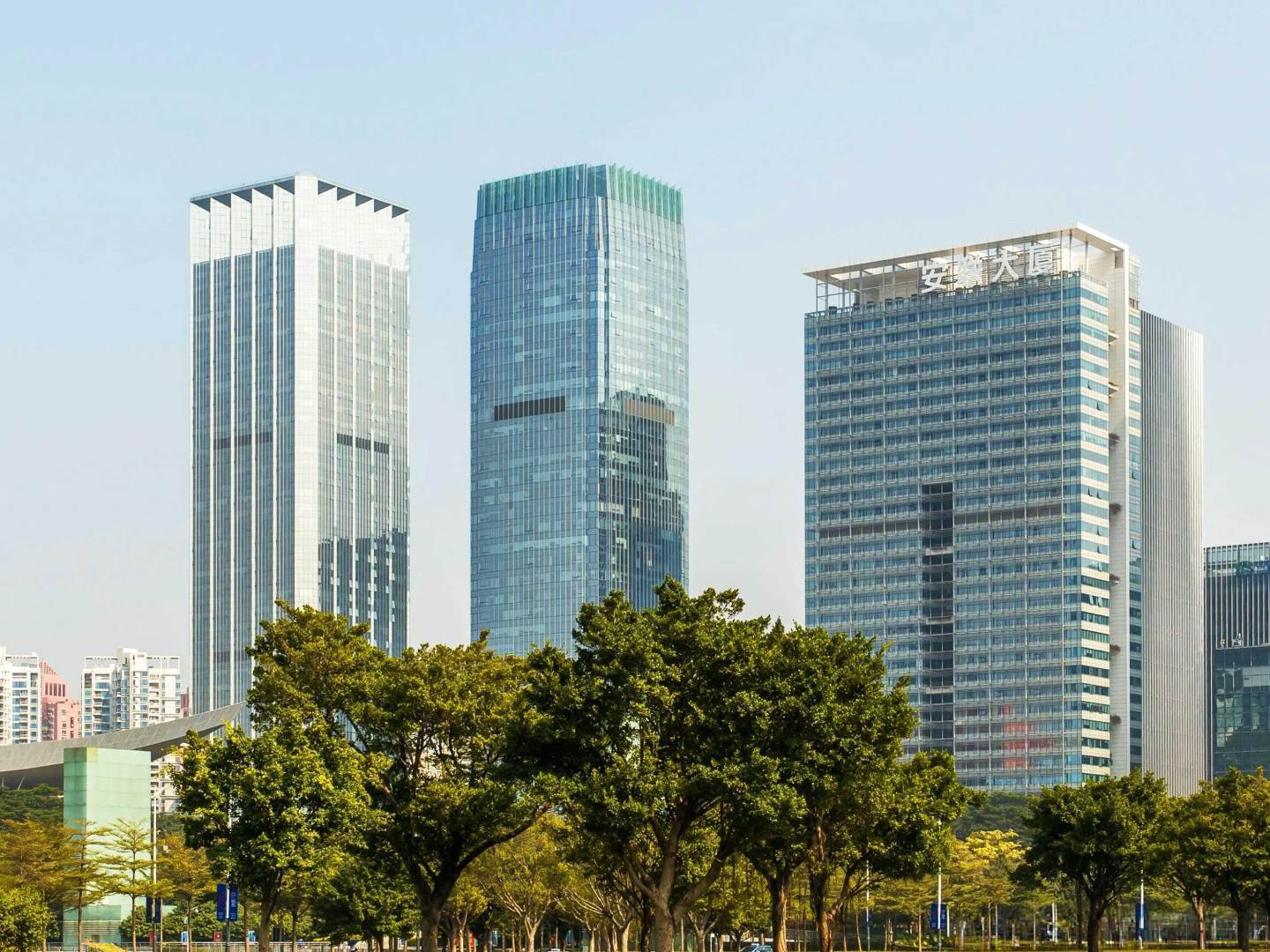实景图