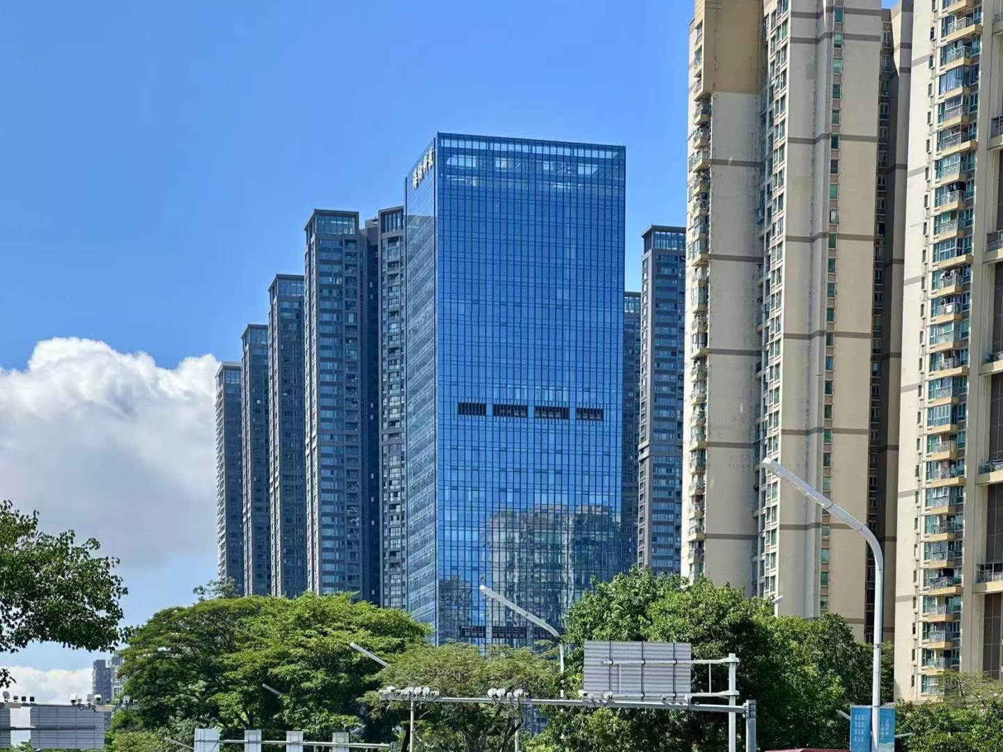 实景图