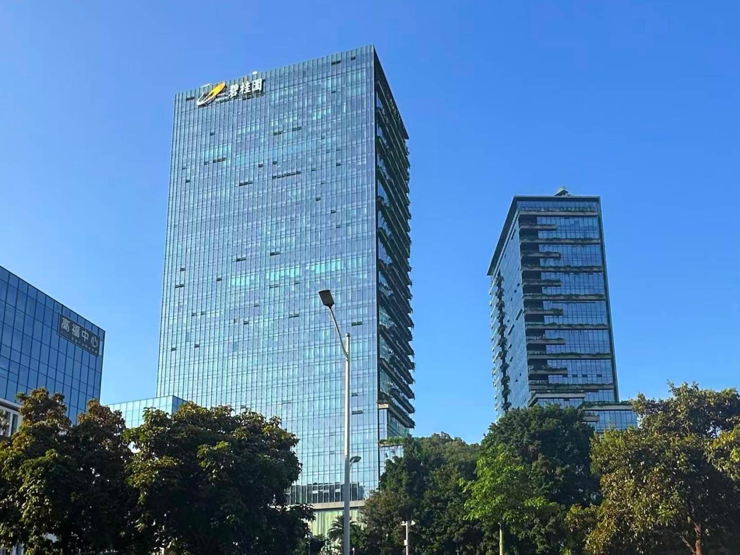 实景图