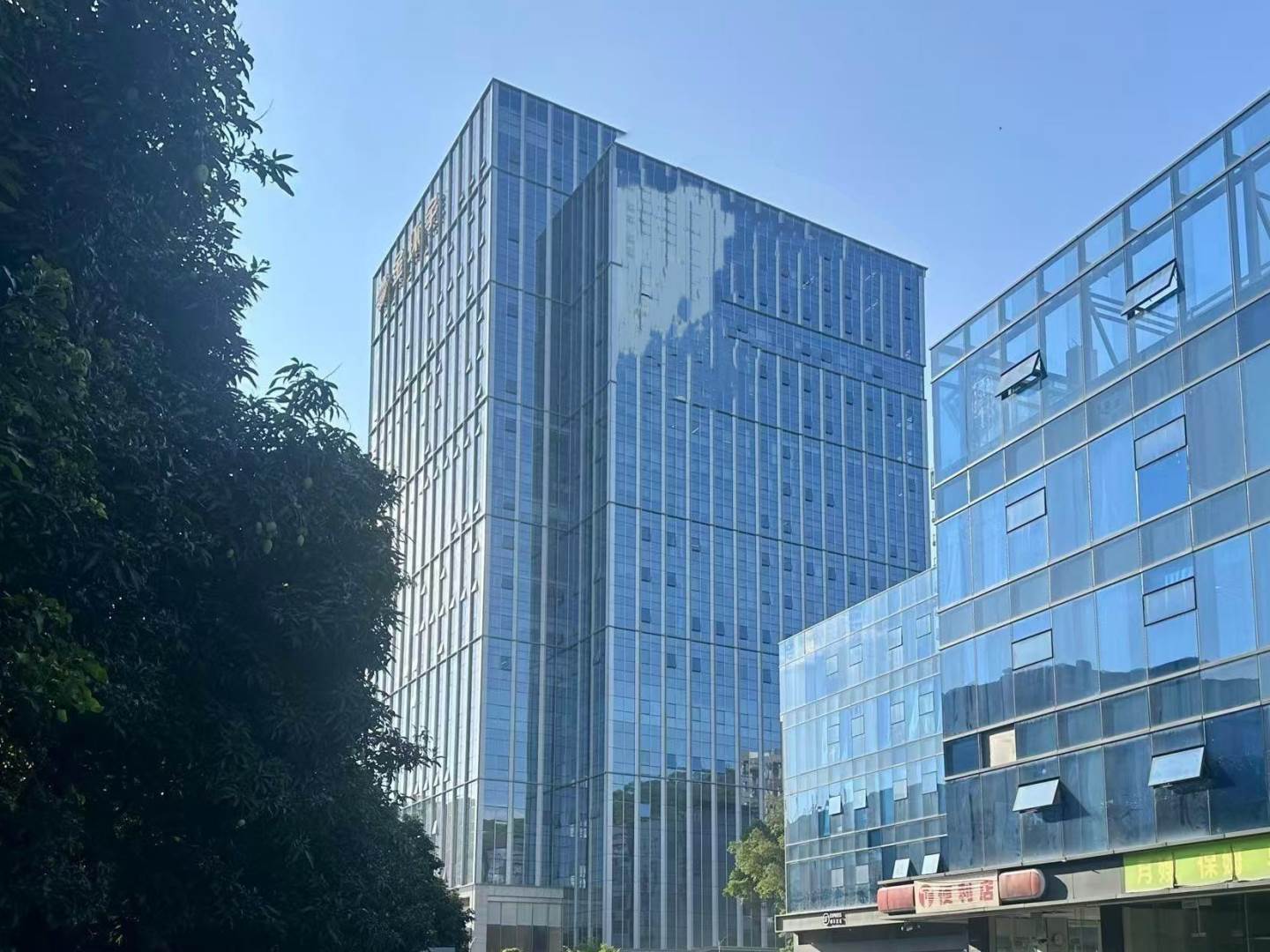 实景图