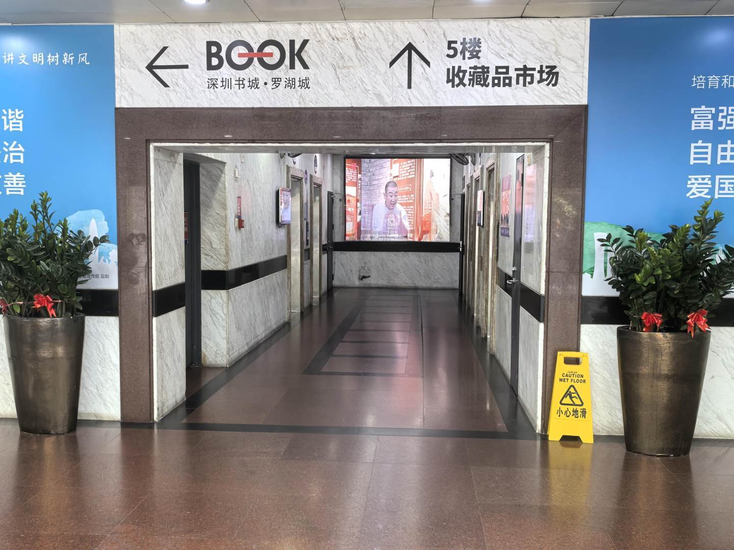 实景图
