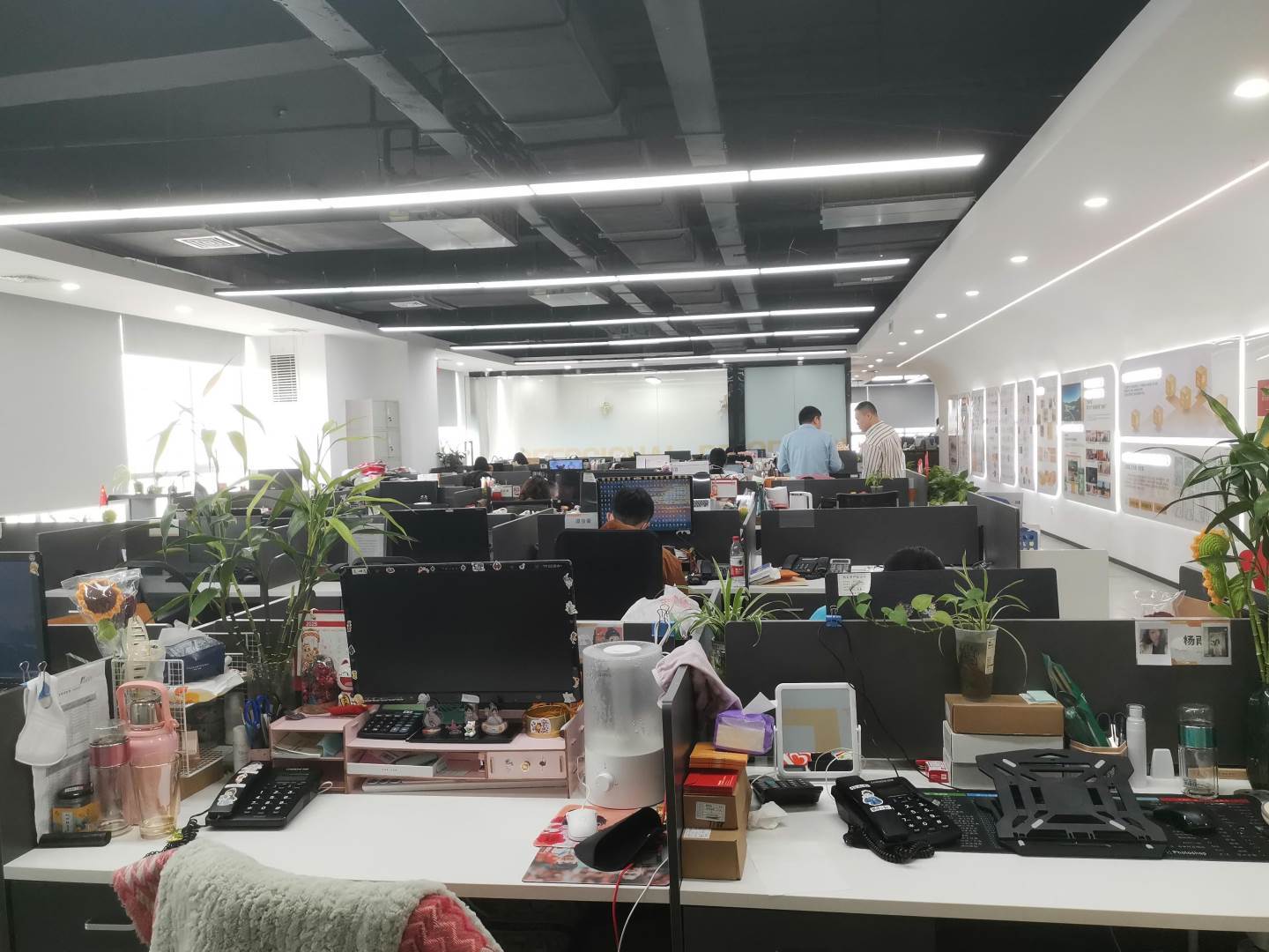 实拍图