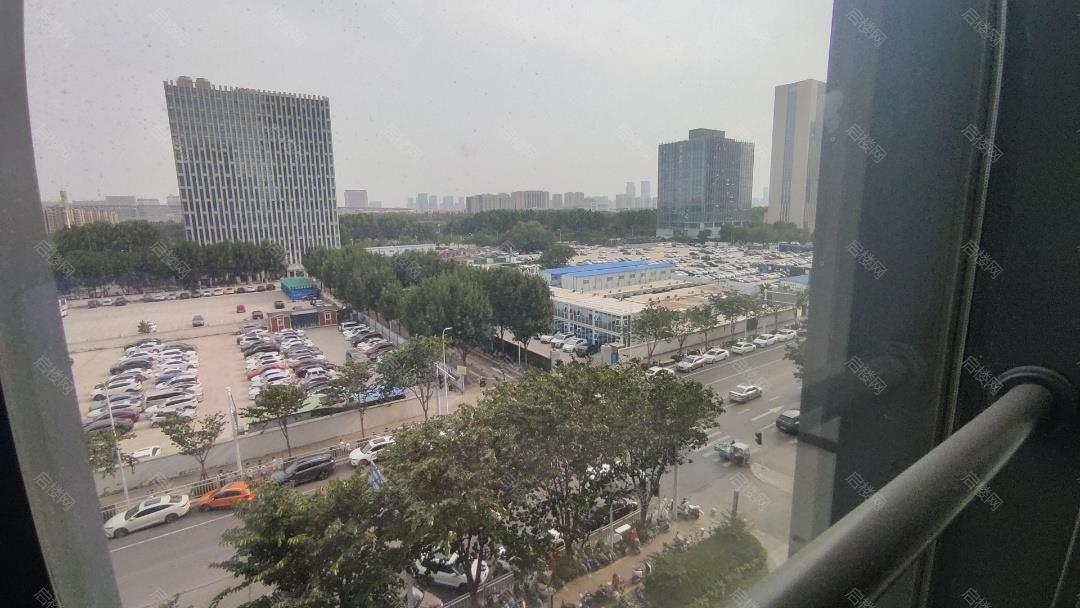 实拍图
