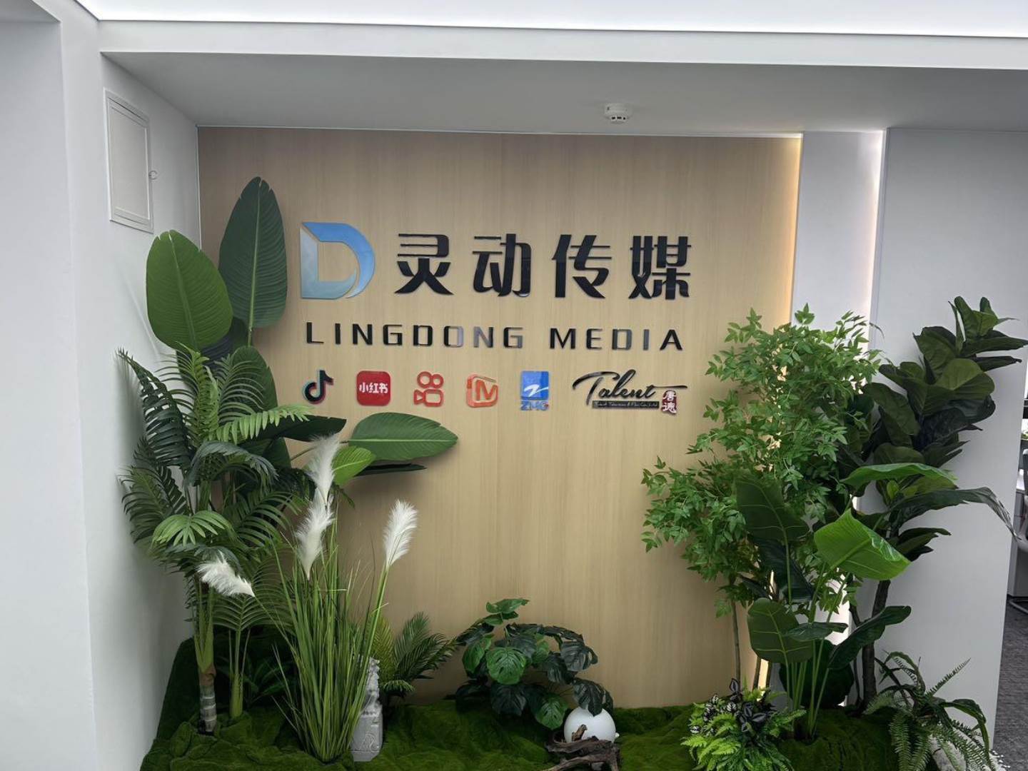 实拍图