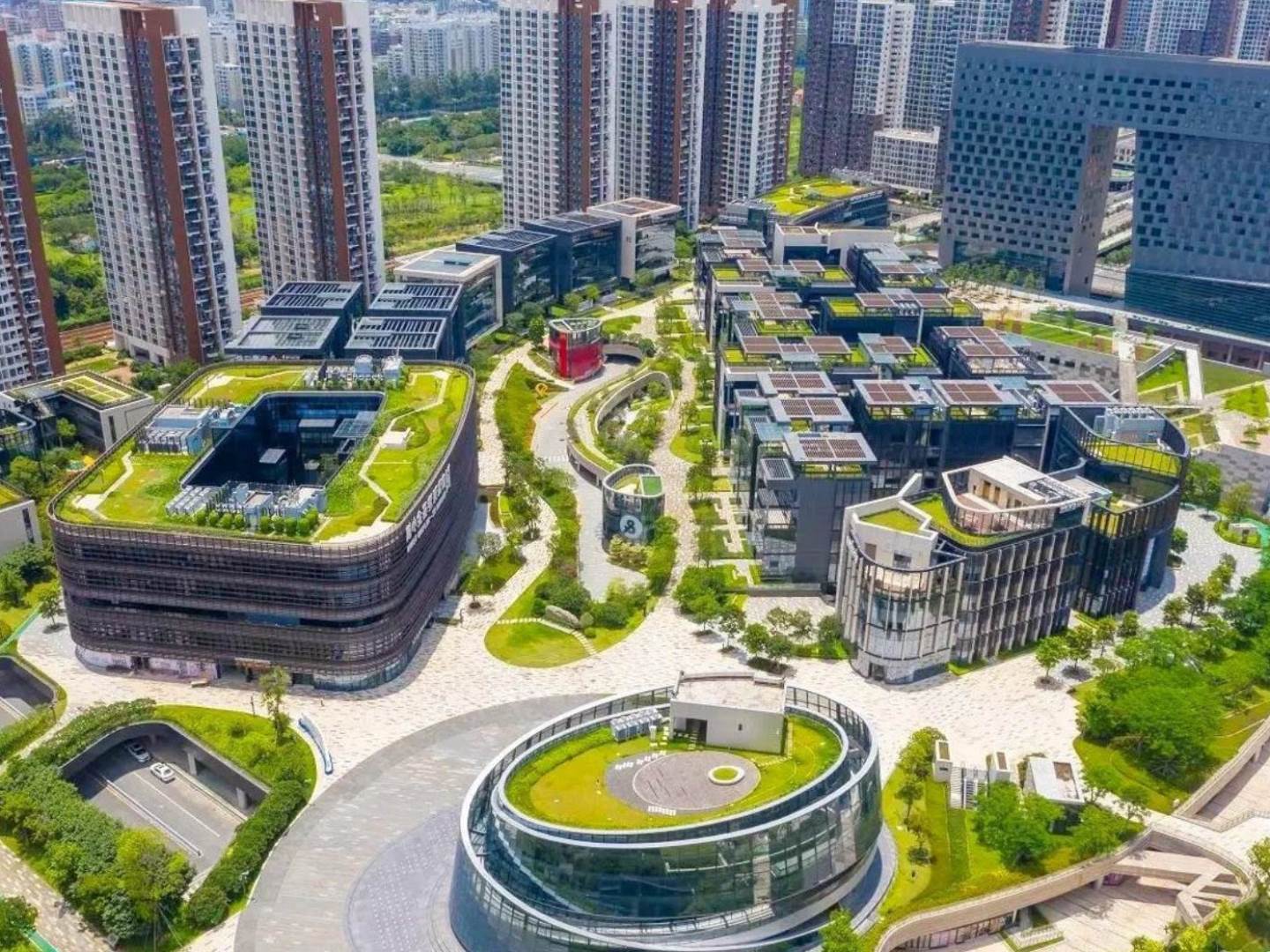 实景图