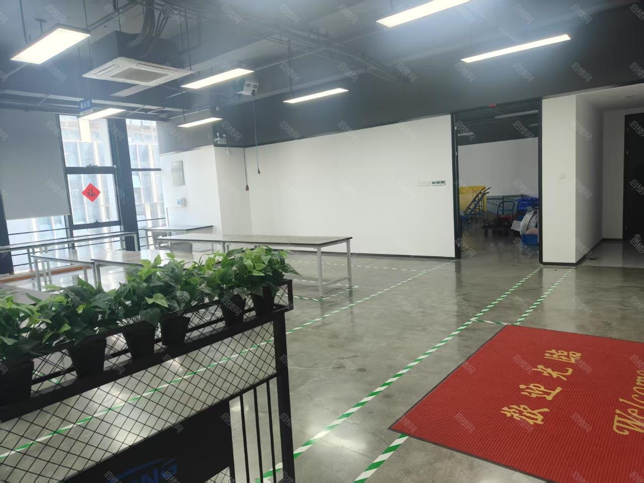 实拍图