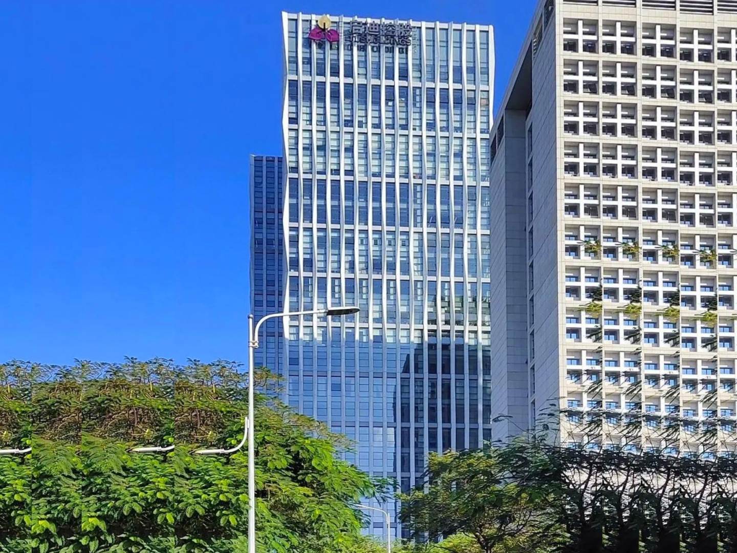 实景图