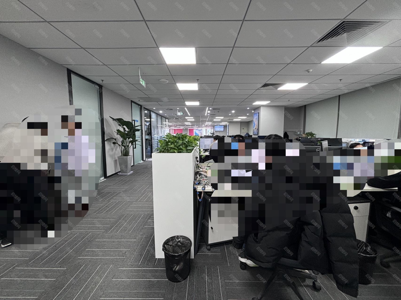 实拍图
