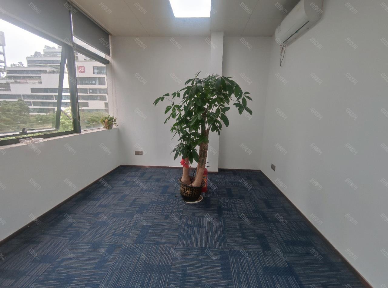 实拍图