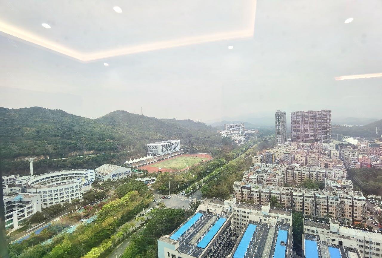 实拍图